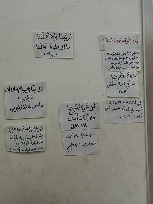 Mahmoud1